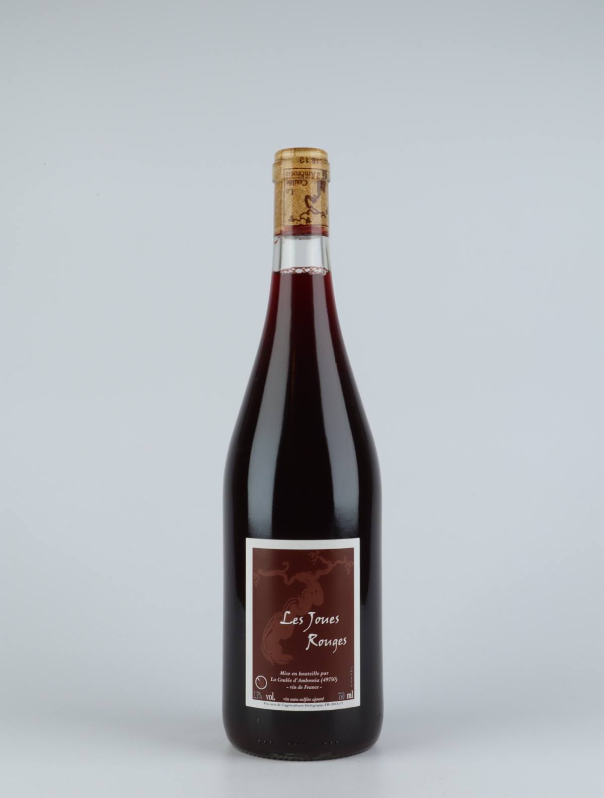 A bottle 2011 Les Joues Rouges Red wine from Jean-Francois Chene, Loire in France
