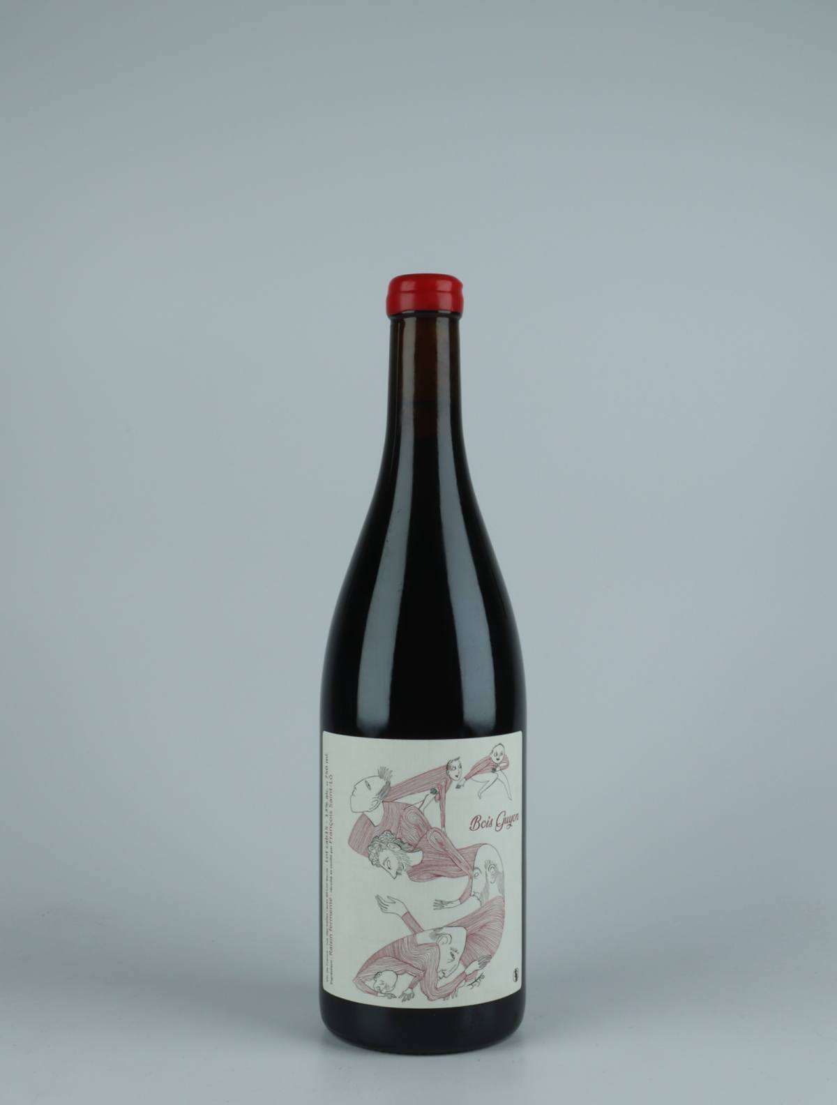 A bottle 2015 Bois Guyon Red wine from François Saint-Lô, Loire in France