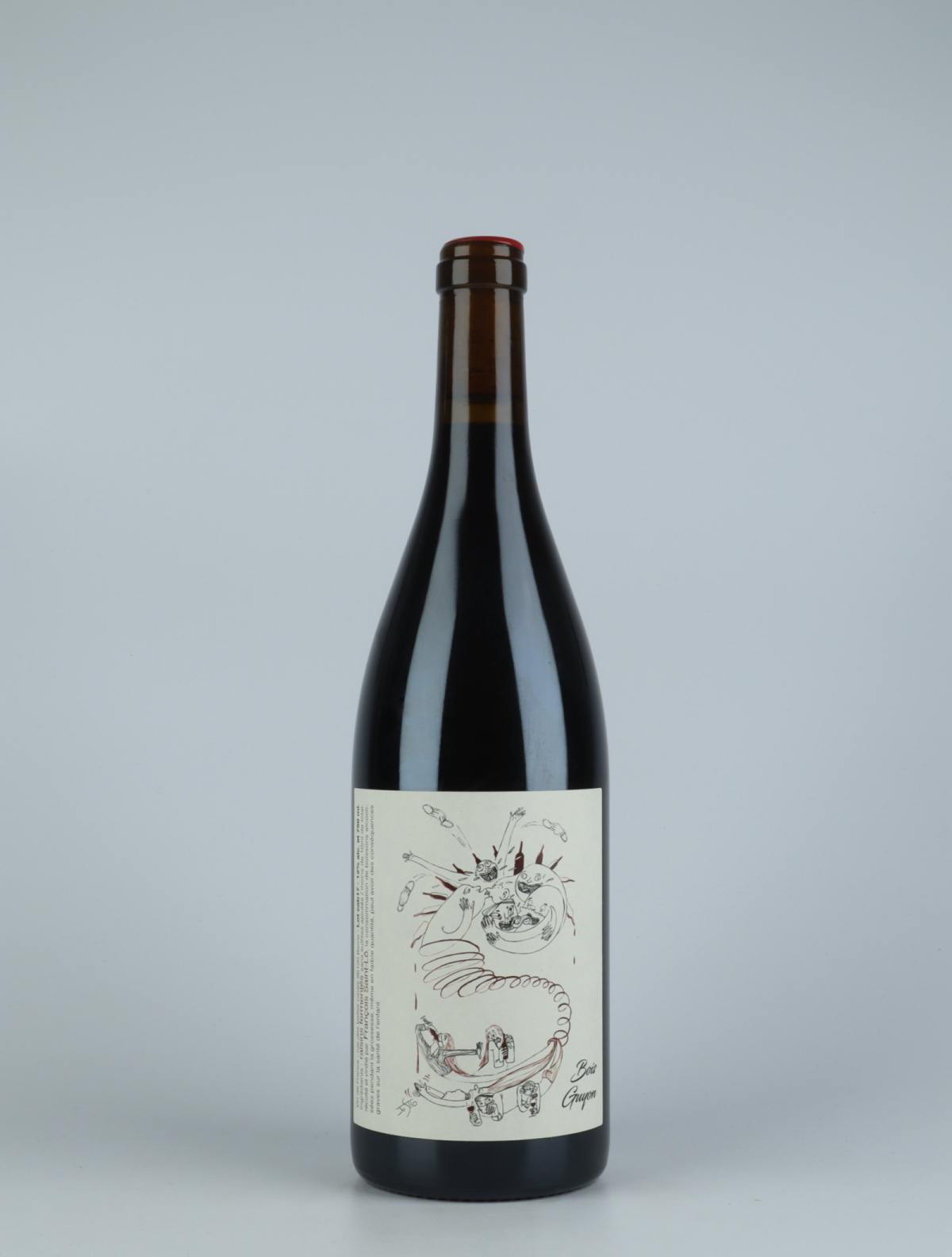 A bottle 2017 Bois Guyon Red wine from François Saint-Lô, Loire in France