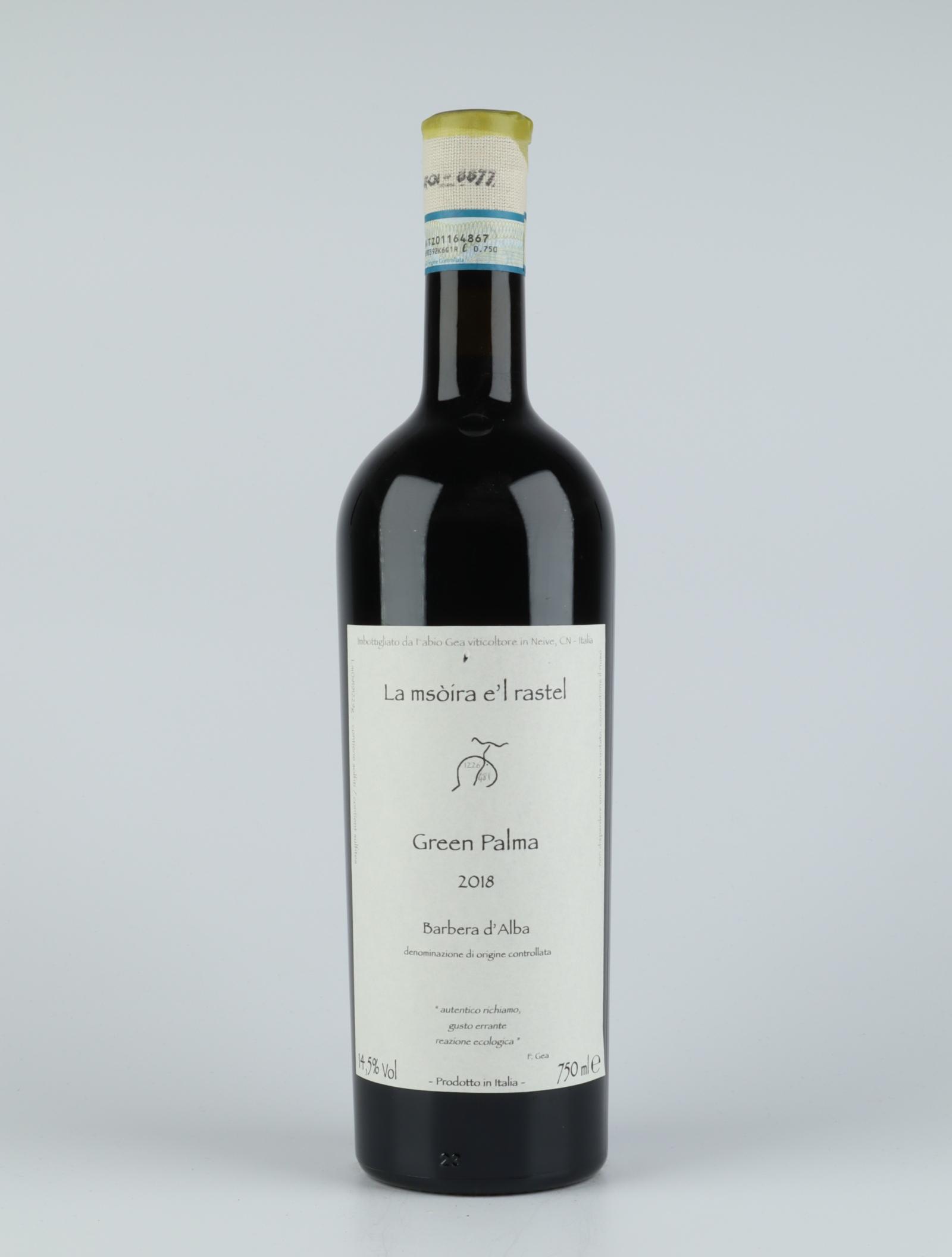 En flaske 2018 Green Palma Rødvin fra Fabio Gea, Piemonte i Italien