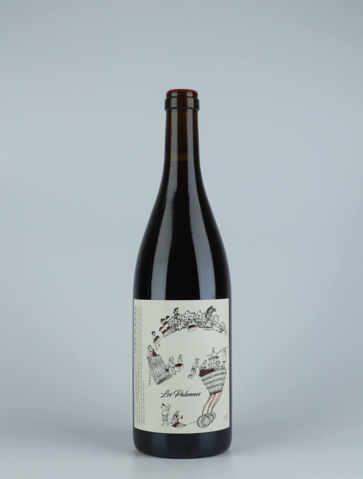 A bottle 2018 Les Palennes Red wine from François Saint-Lô, Loire in France