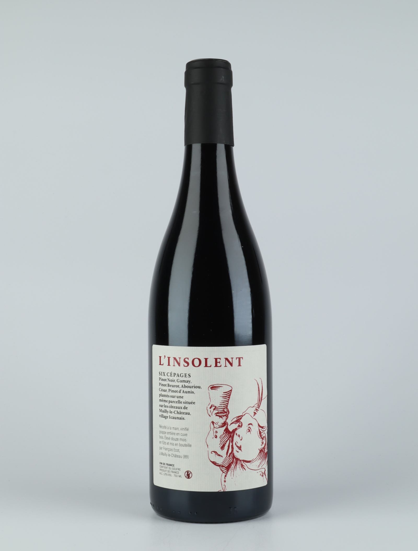 A bottle 2018 L'insolent Red wine from François Ecot, Burgundy in France