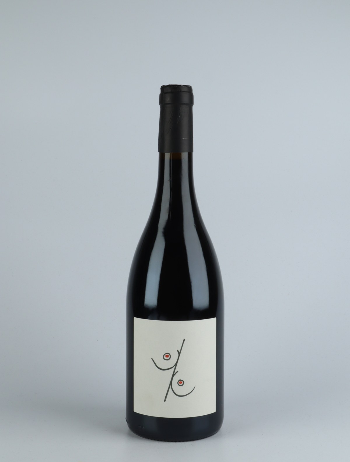 A bottle 2018 Sein pour Sein Red wine from Patrick Bouju, Auvergne in France