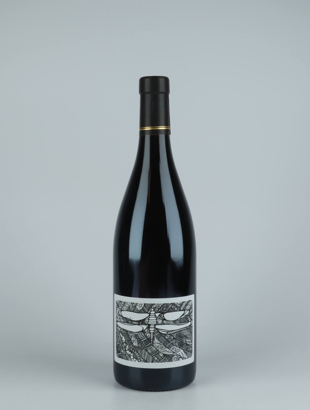 A bottle 2019 100% Red wine from Julien Courtois, Loire in France
