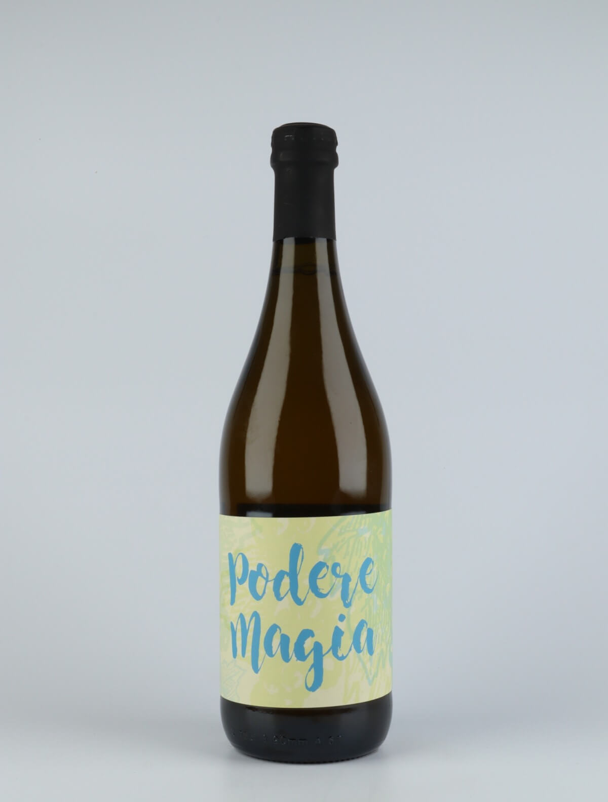 A bottle 2019 Bianco Frizzante - ETICHETTA AZZURRA Sparkling from Podere Magia, Emilia-Romagna in Italy