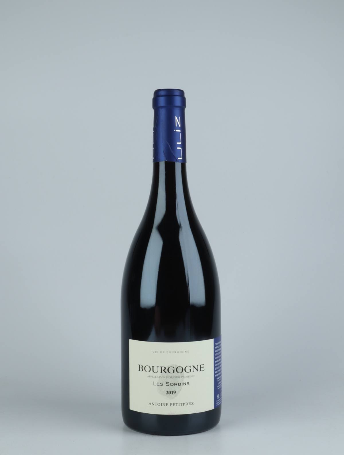 A bottle 2019 Bourgogne Rouge - Les Sorbins Red wine from Antoine Petitprez, Burgundy in France