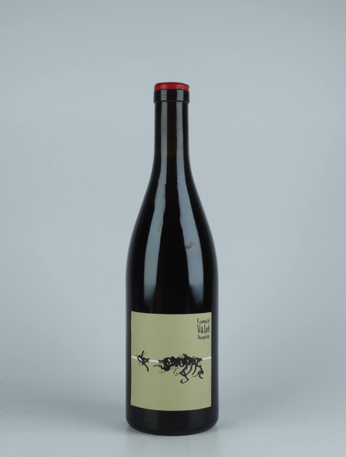 A bottle 2019 Cuvée 21550 - Infusion de Pinot Noir Red wine from Romuald Valot, Beaujolais in France