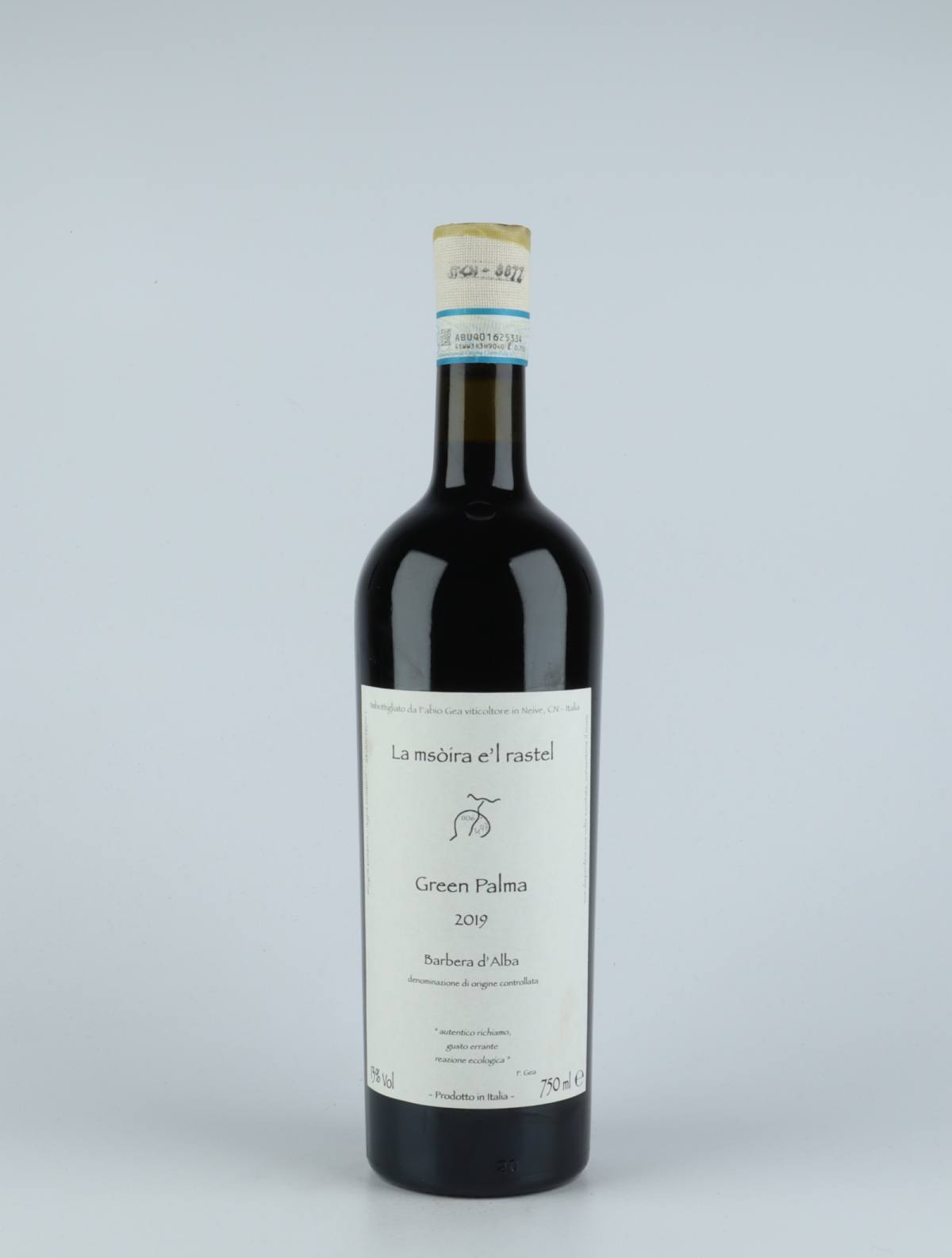 A bottle 2019 Green Palma - Barbera d'Alba Red wine from Fabio Gea, Piedmont in Italy