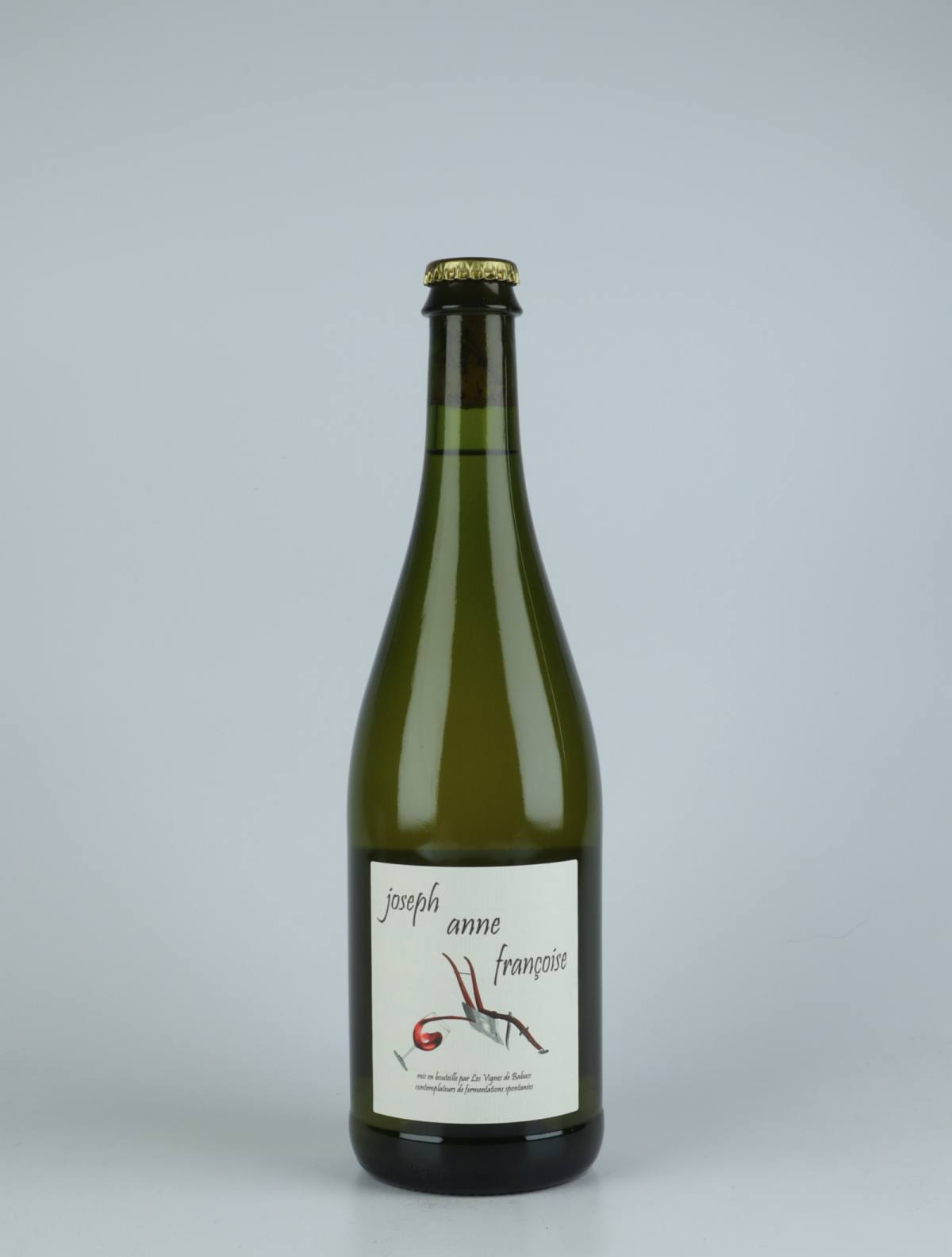 A bottle 2019 Joseph Anne Françoise White wine from Les Vignes de Babass, Loire in France