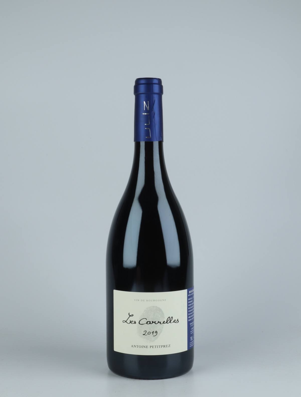 A bottle 2019 Les Carelles Red wine from Antoine Petitprez, Burgundy in France