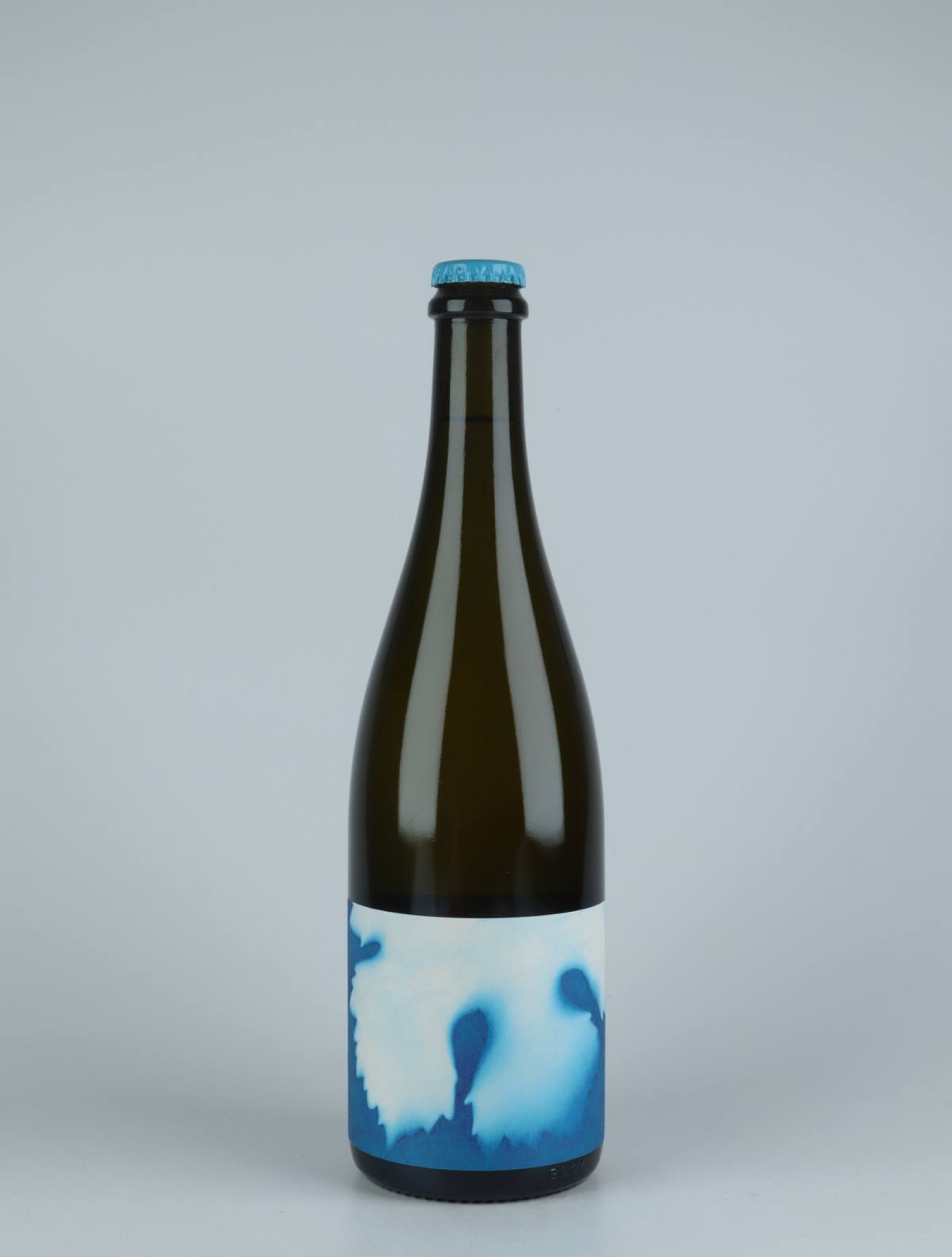 A bottle 2019 Les Doyennes White wine from Thomas Puéchavy, Loire in France