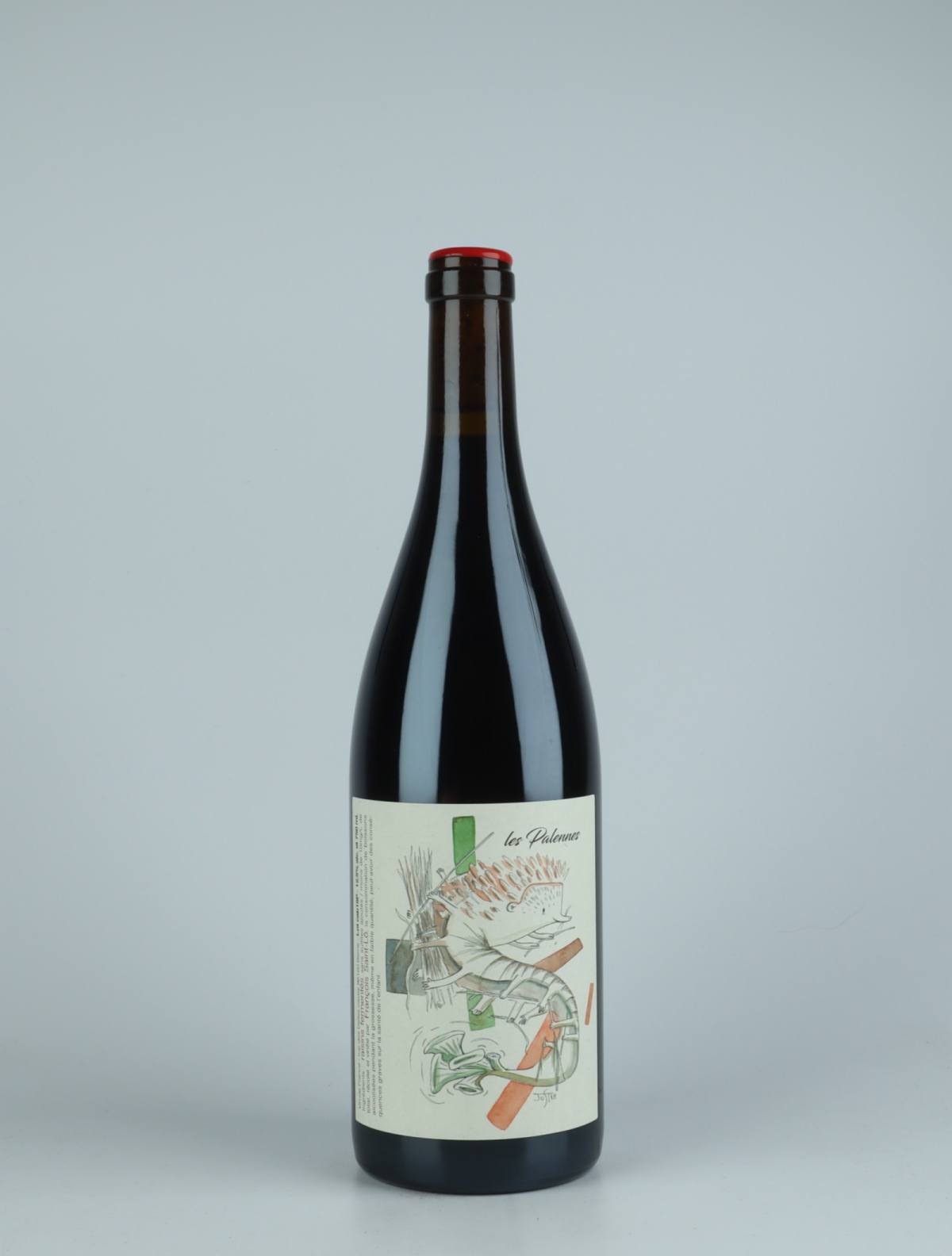 En flaske 2019 Les Palennes Rødvin fra François Saint-Lô, Loire i Frankrig