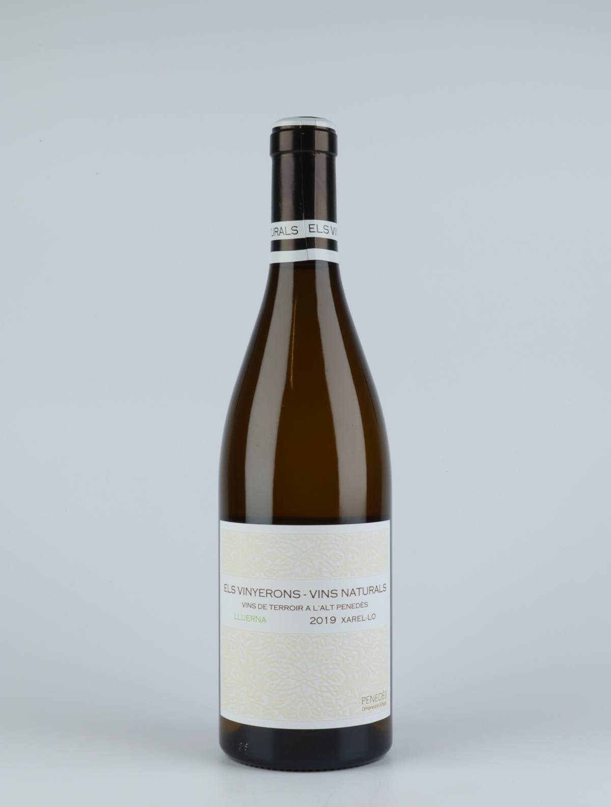 A bottle  Lluerna White wine from Els Vinyerons, Penedès in Spain