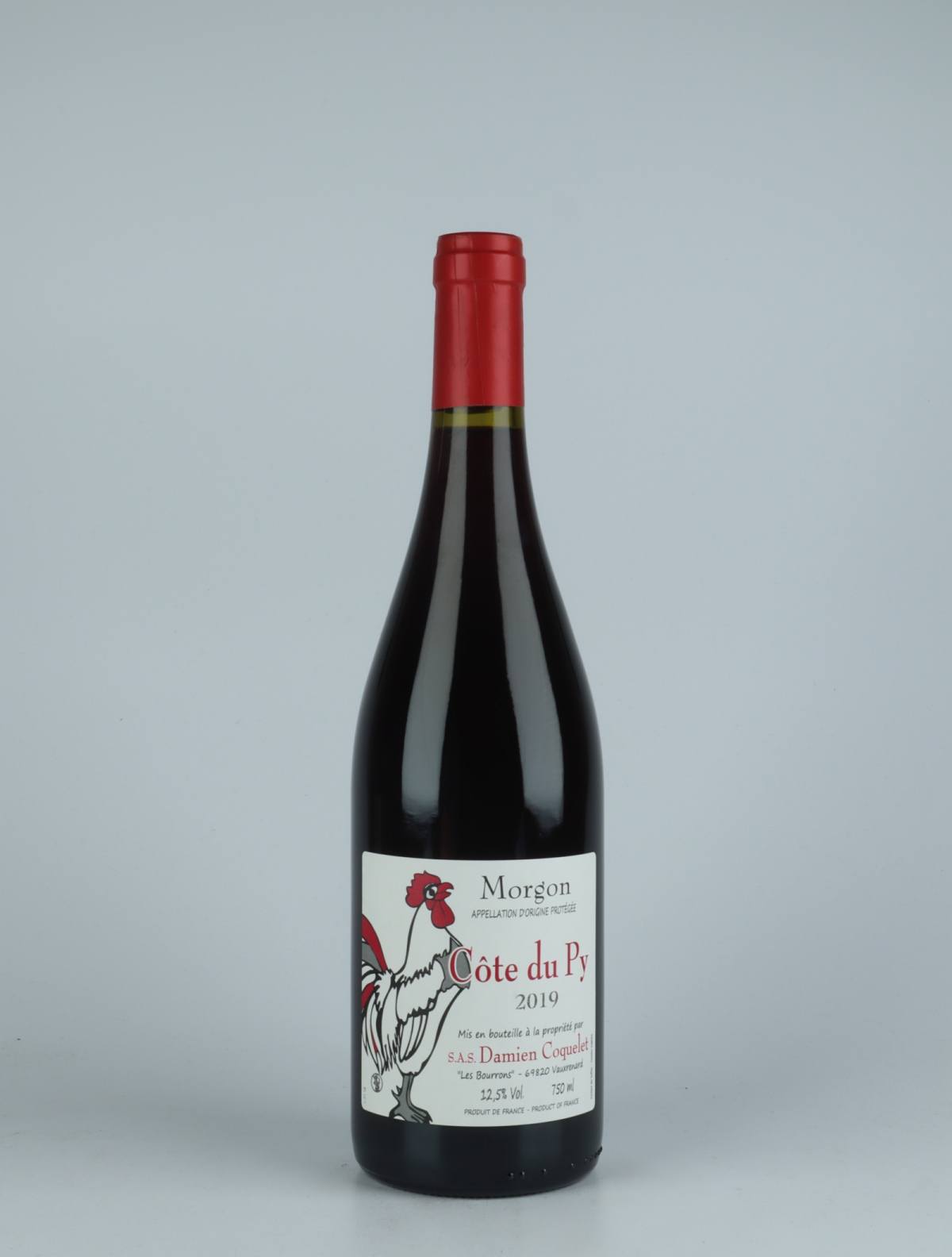 A bottle 2019 Morgon - Côte du Py Red wine from Damien Coquelet, Beaujolais in France