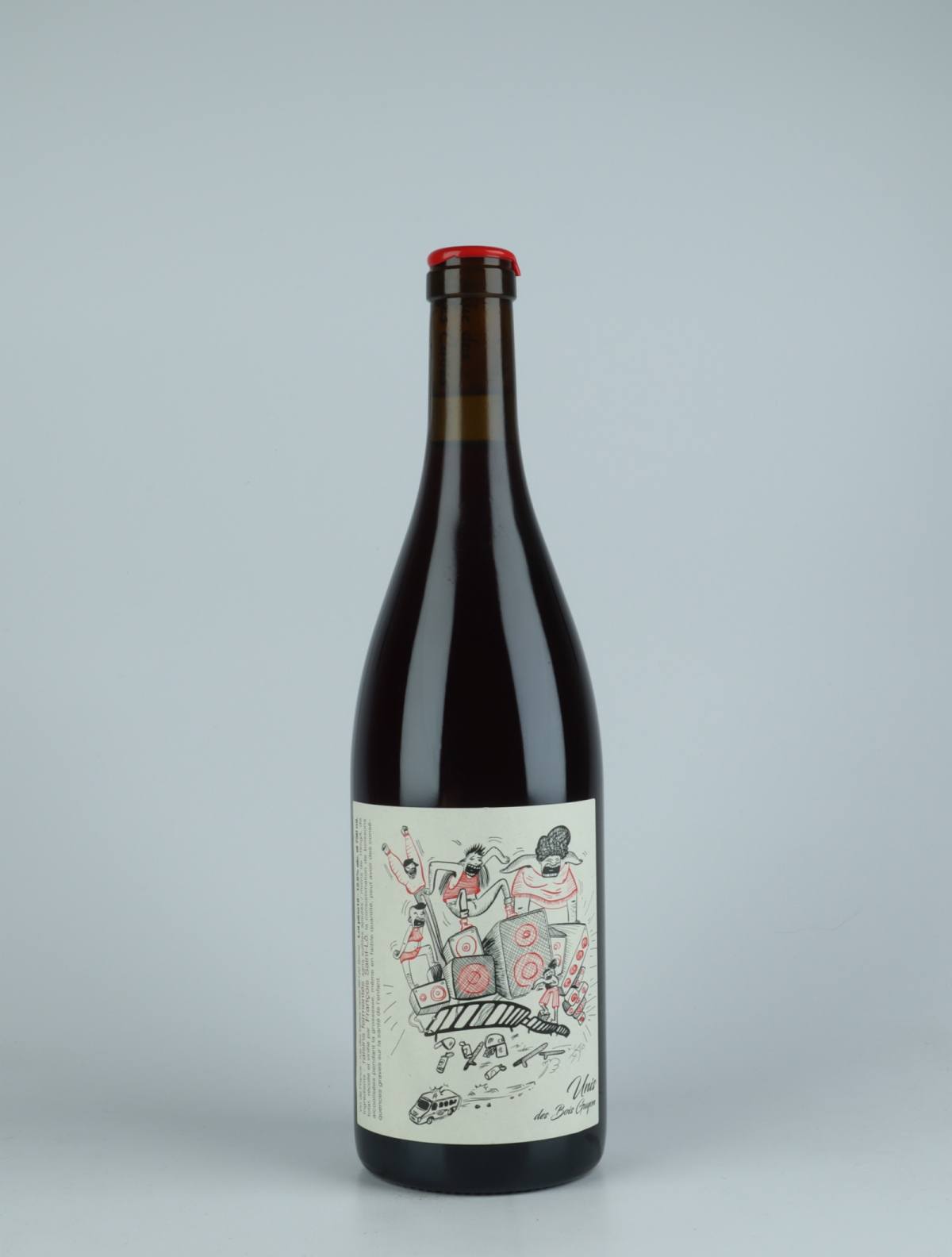 A bottle 2019 Pineau d'Aunis Red wine from François Saint-Lô, Loire in France