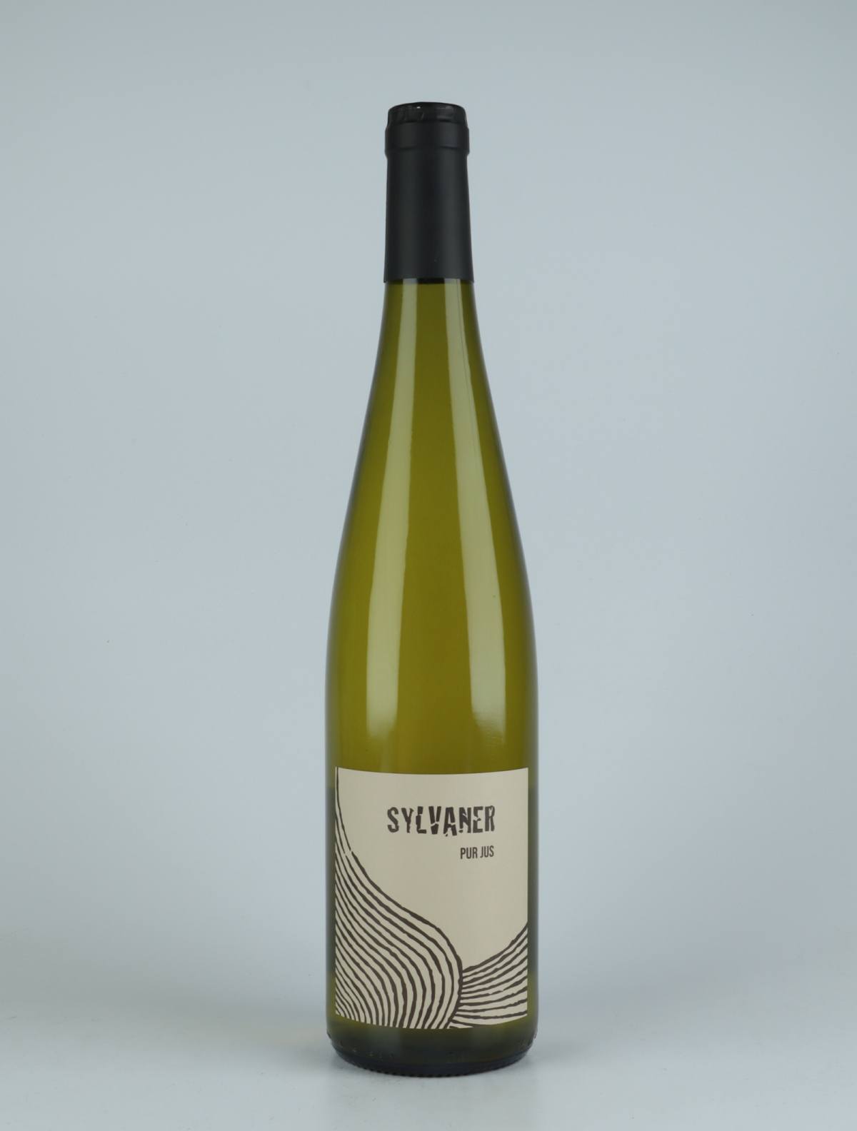 A bottle 2019 Pur Jus Sylvaner White wine from Ruhlmann Dirringer, Alsace in France