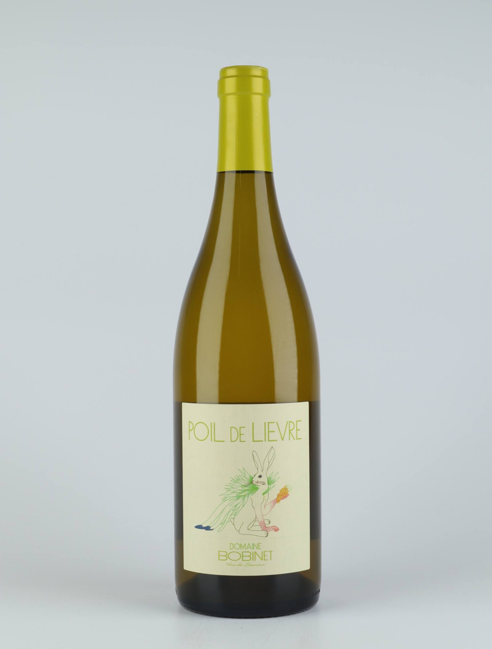 A bottle 2019 Saumur Blanc - Poil de Lièvre White wine from Domaine Bobinet, Loire in France
