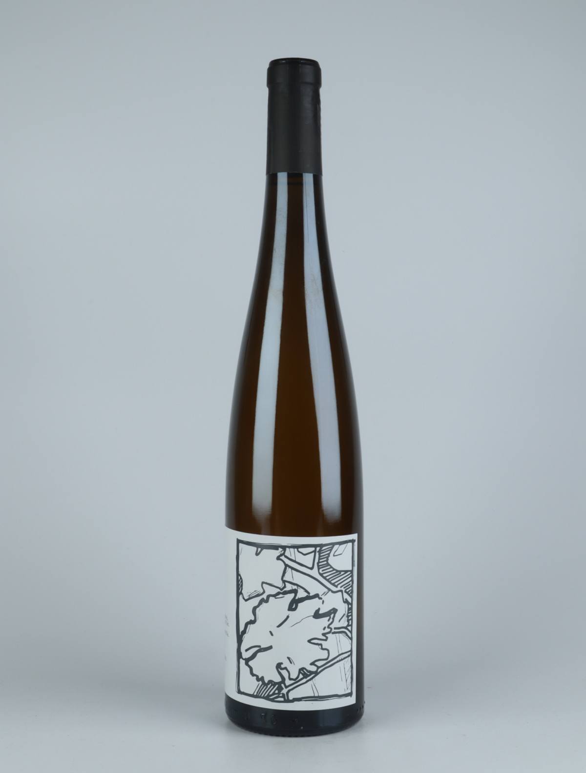 A bottle 2019 Sylvaner White wine from Domaine Goepp, Alsace in France