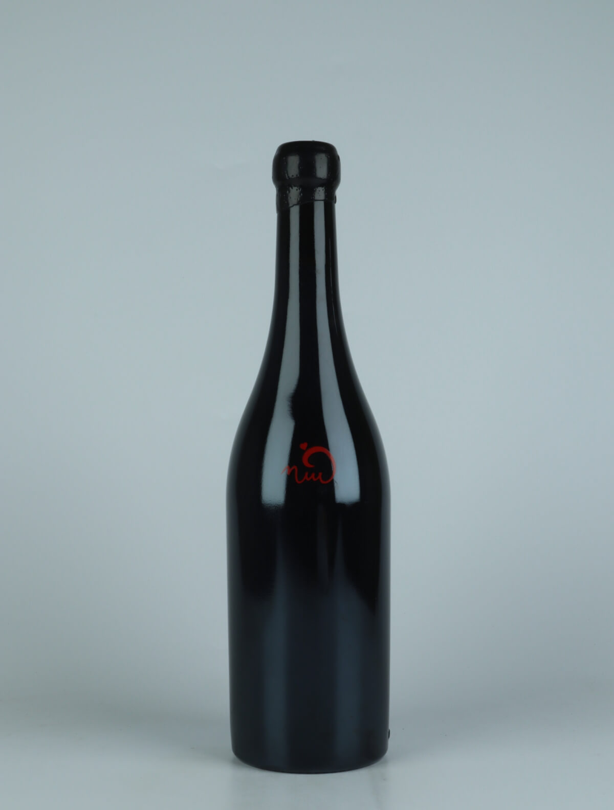 A bottle 2019 Vi Negre Red wine from Els Jelipins, Penedès in Spain