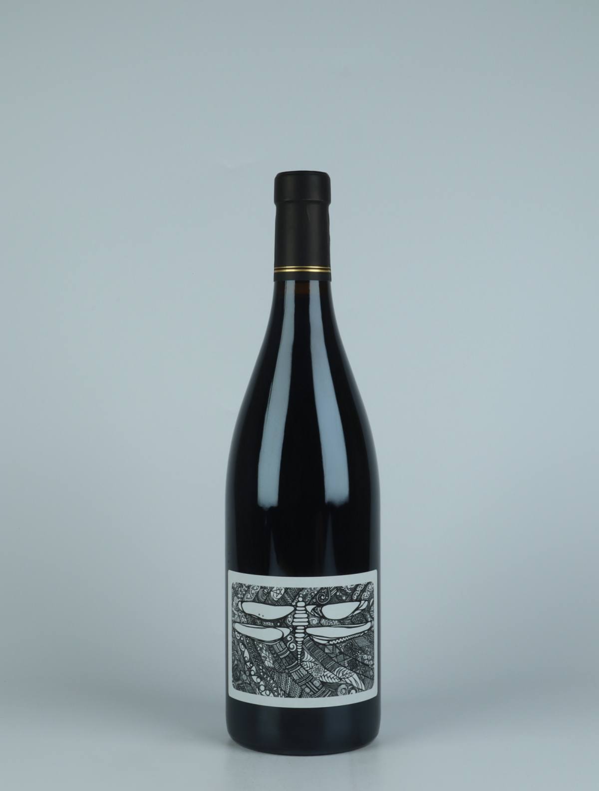 A bottle 2020 100% Red wine from Julien Courtois, Loire in France