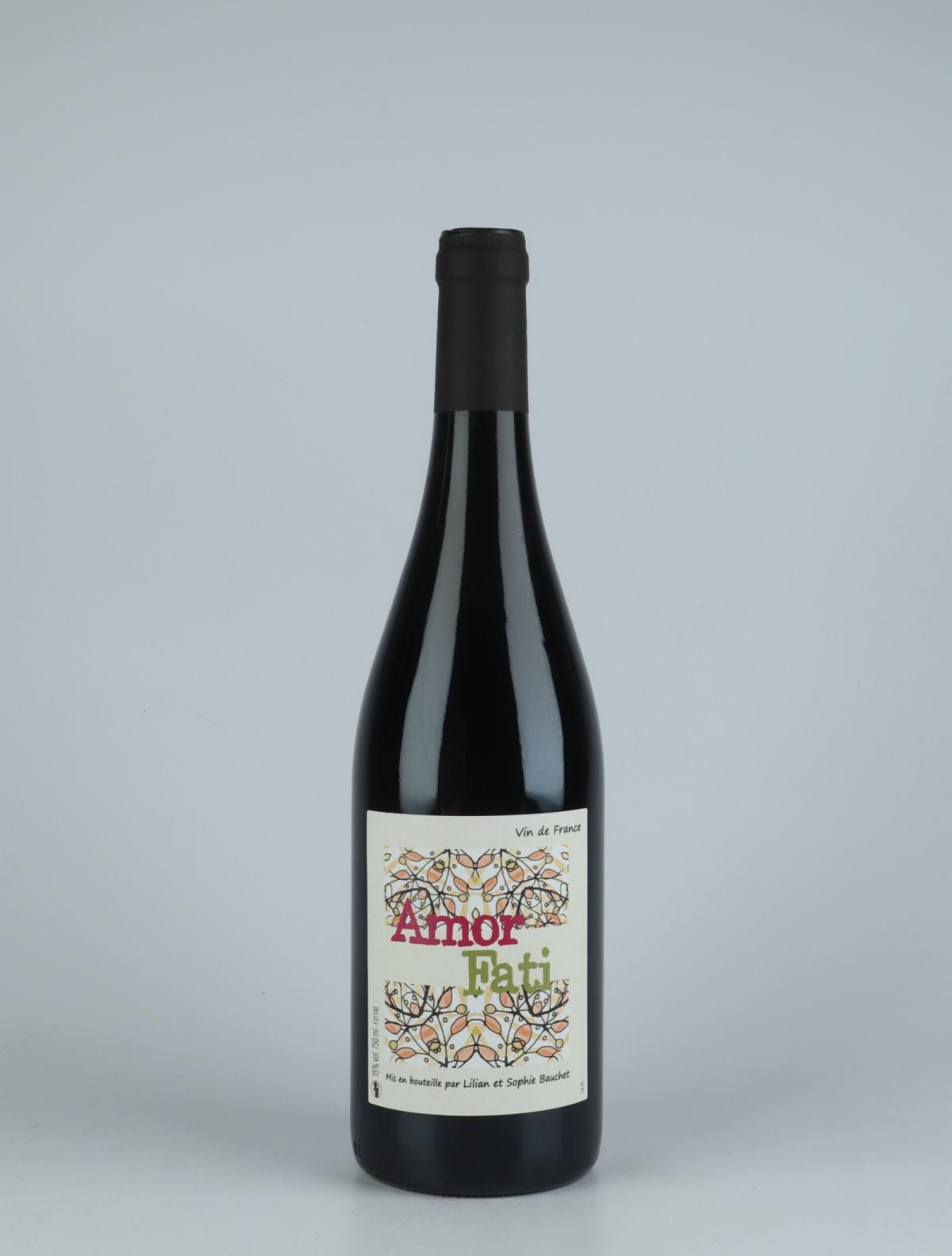 A bottle 2020 Amor Fati Red wine from Lilian et Sophie Bauchet, Beaujolais in France