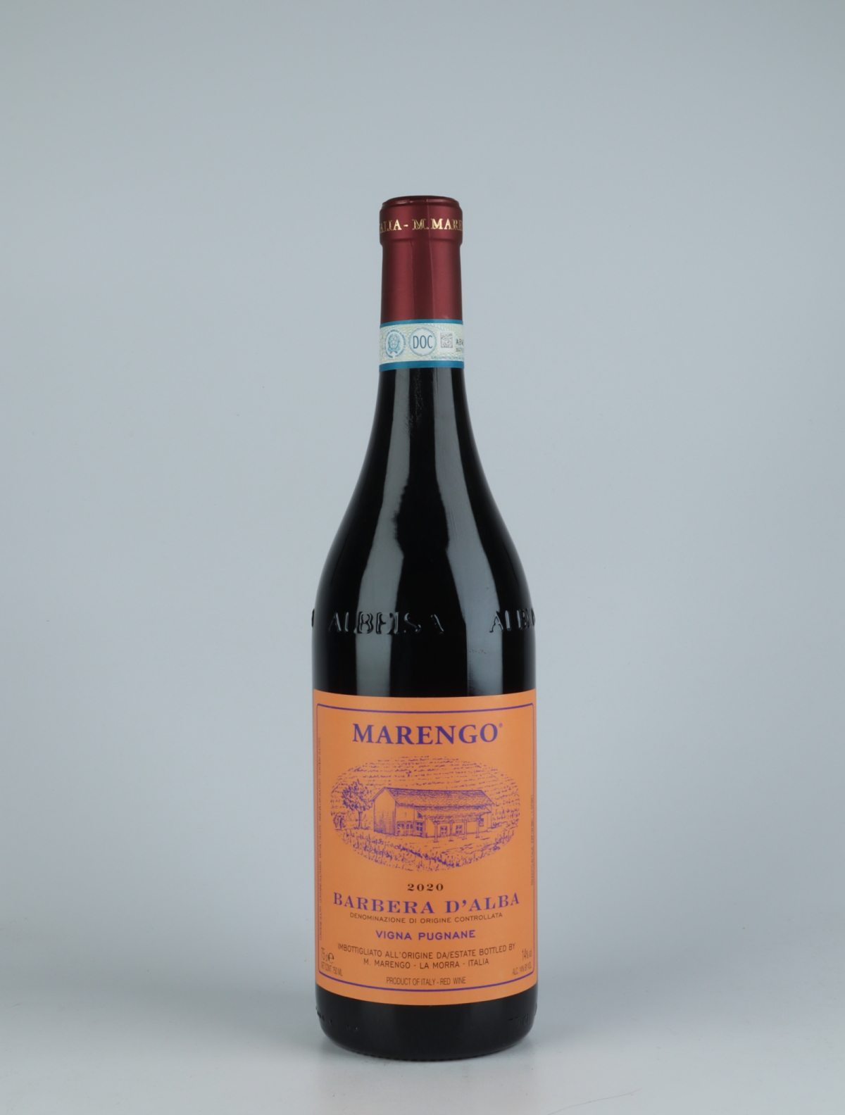 A bottle 2020 Barbera d'Alba - Pugnane Red wine from Mario Marengo, Piedmont in Italy