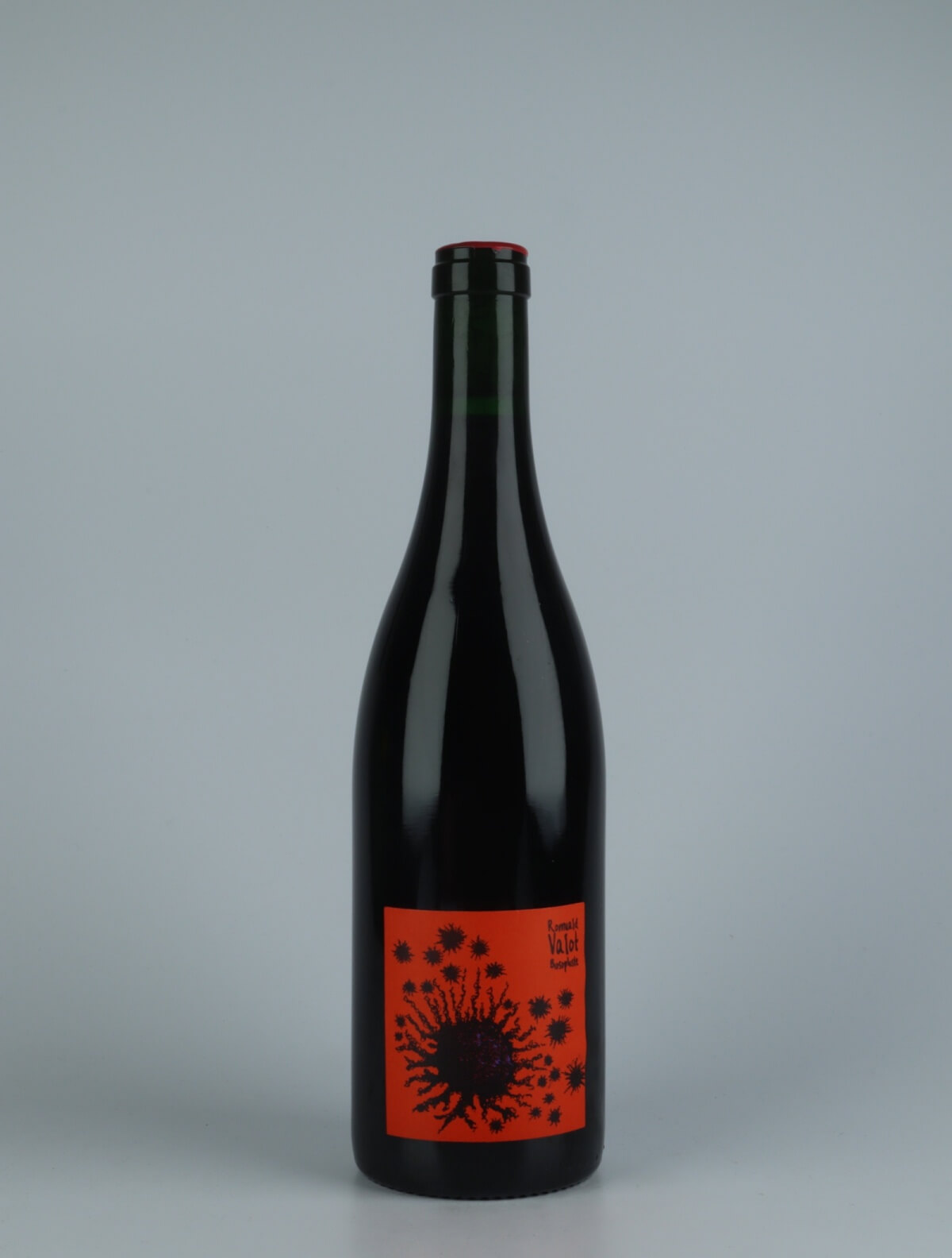 A bottle 2020 Beaujolais Villages Red wine from Romuald Valot, Beaujolais in France