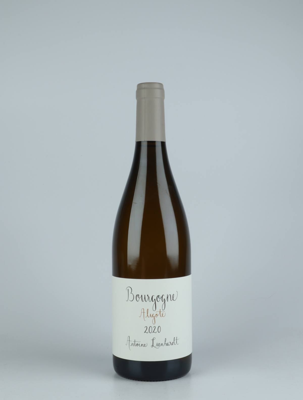 A bottle 2020 Bourgogne Aligoté White wine from Antoine Lienhardt, Burgundy in France