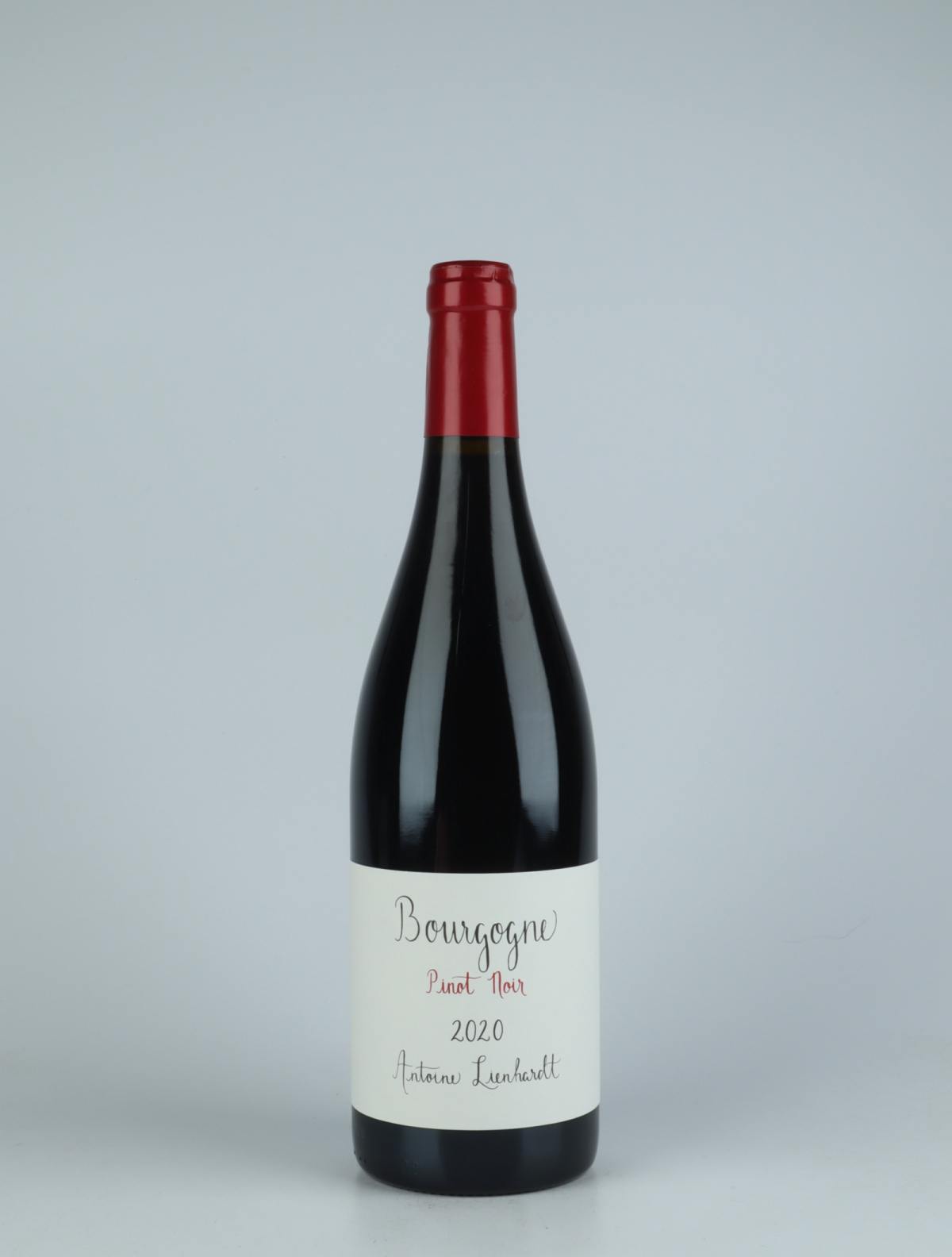A bottle 2020 Bourgogne Rouge Red wine from Antoine Lienhardt, Burgundy in France