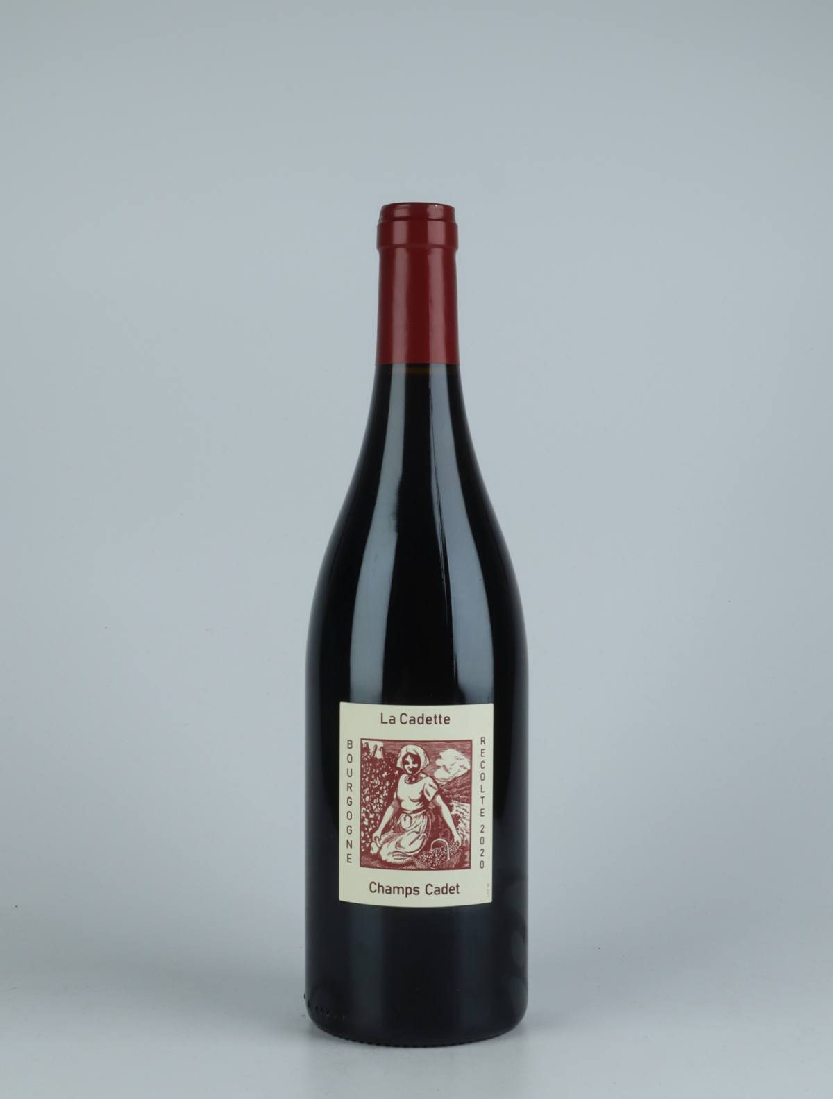 A bottle 2020 Bourgogne Rouge - Champs Cadet Red wine from Domaine de la Cadette, Burgundy in France