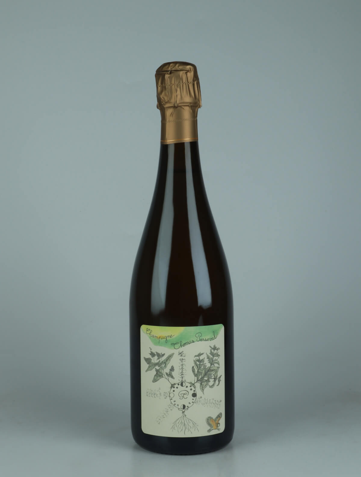 A bottle 2020 Chamery 1. Cru - Le Village Sparkling from Thomas Perseval, Champagne in France