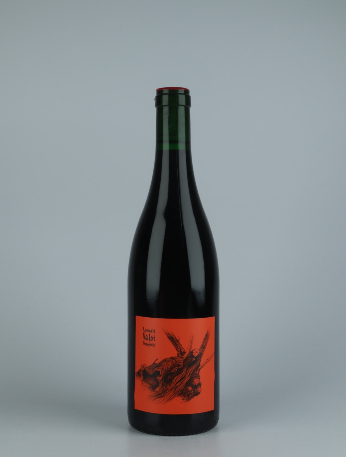 A bottle 2020 Chénas Red wine from Romuald Valot, Beaujolais in France
