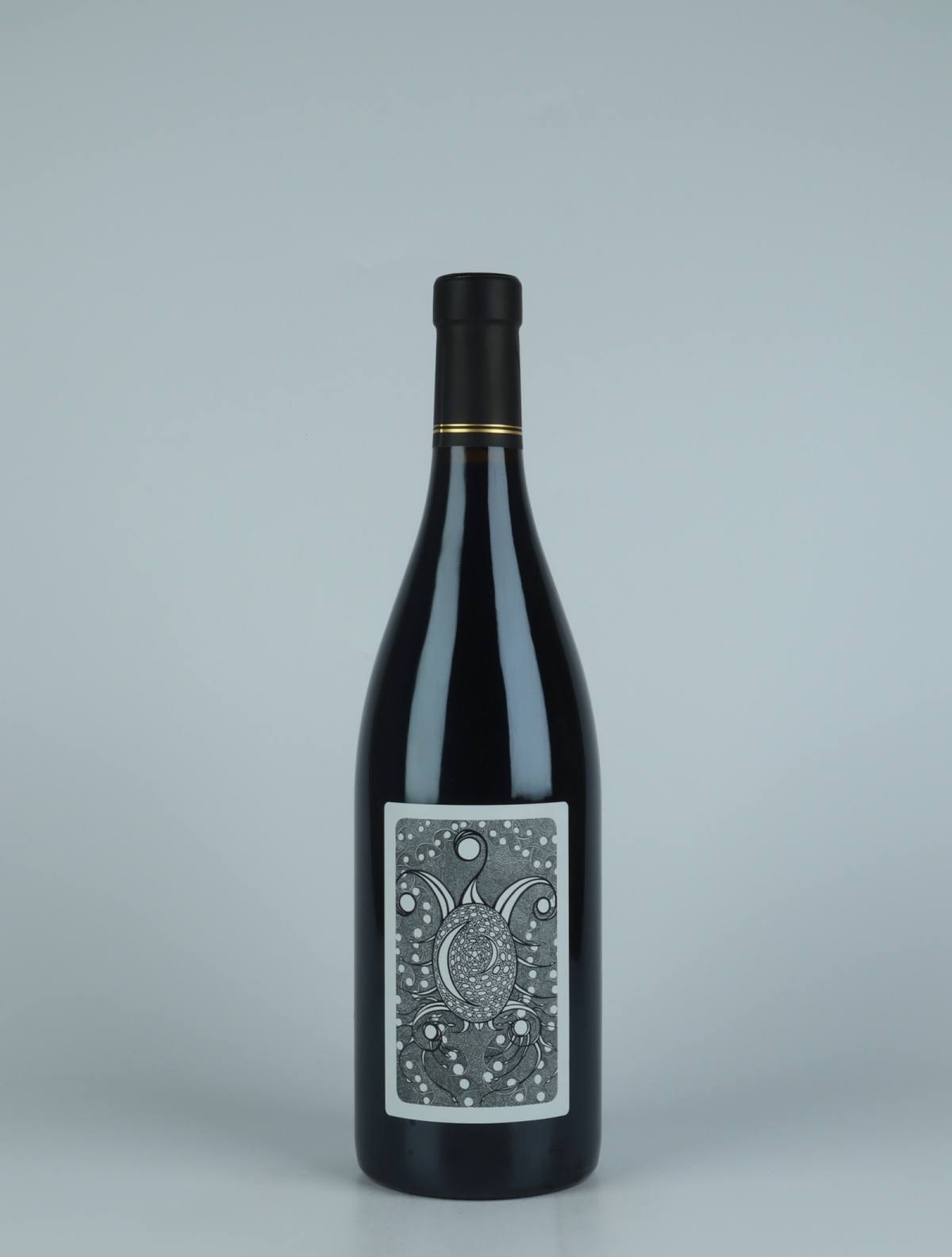 En flaske 2020 Elements Rødvin fra Julien Courtois, Loire i Frankrig
