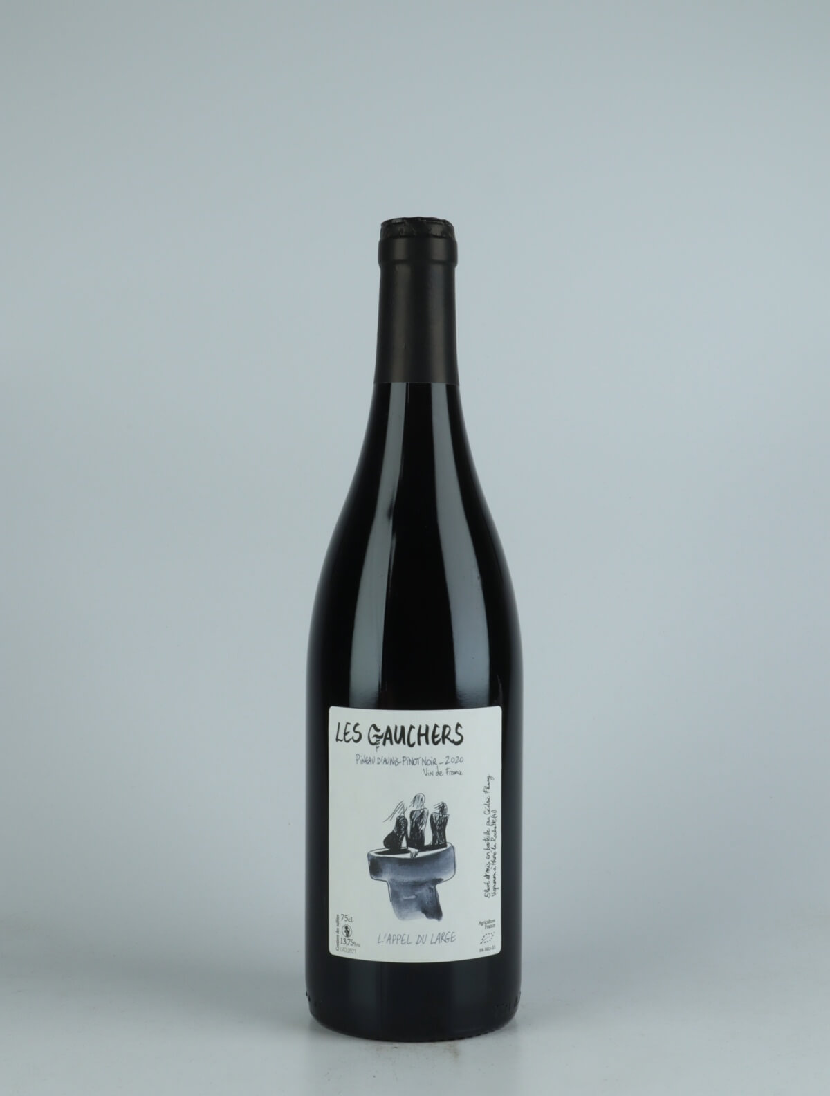 A bottle 2020 L'Appel du Large Red wine from Les Gauchers, Loire in France