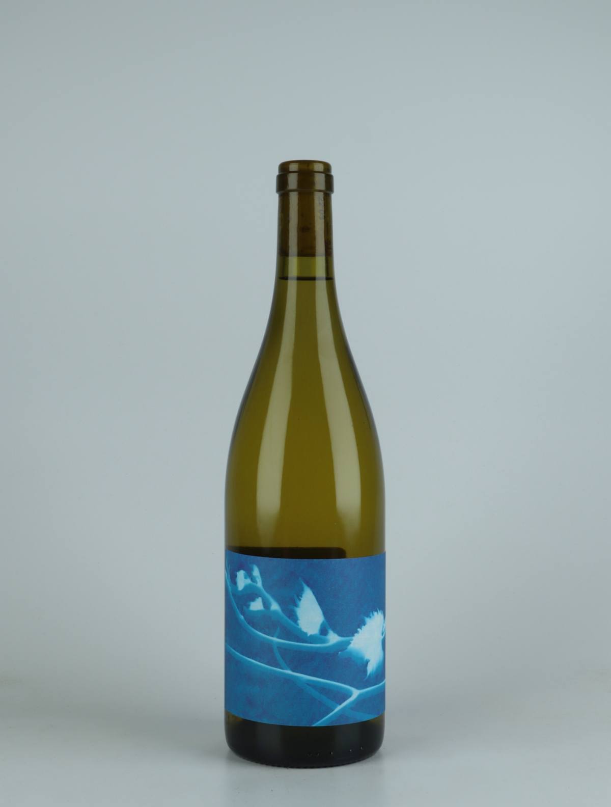 A bottle 2020 Le Rayon Blanc White wine from Thomas Puéchavy, Loire in France