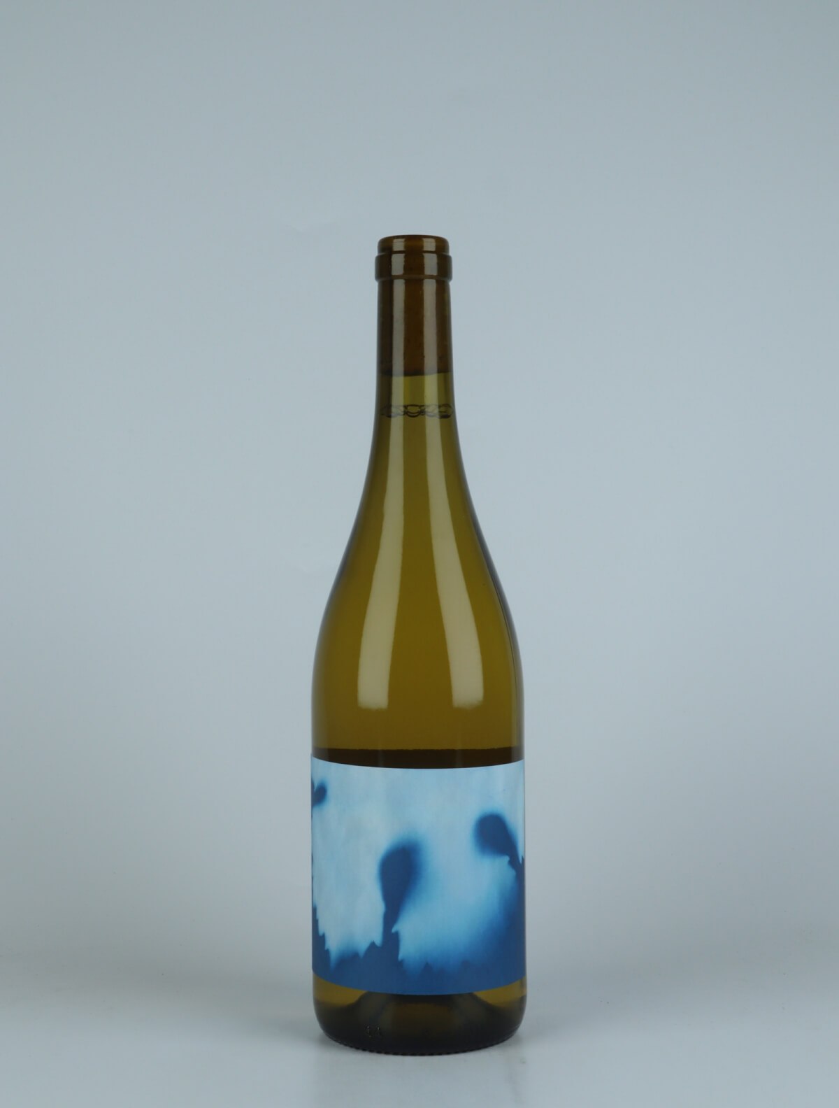 En flaske 2020 Les Doyennes Hvidvin fra Thomas Puéchavy, Loire i Frankrig