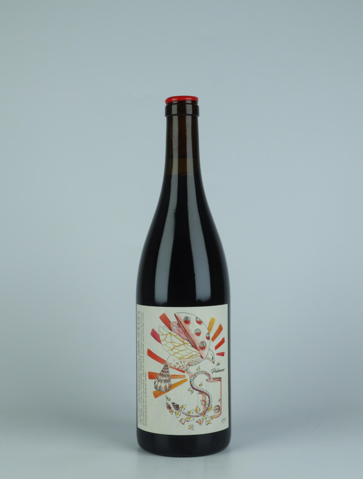 A bottle 2020 Les Palennes Red wine from François Saint-Lô, Loire in France
