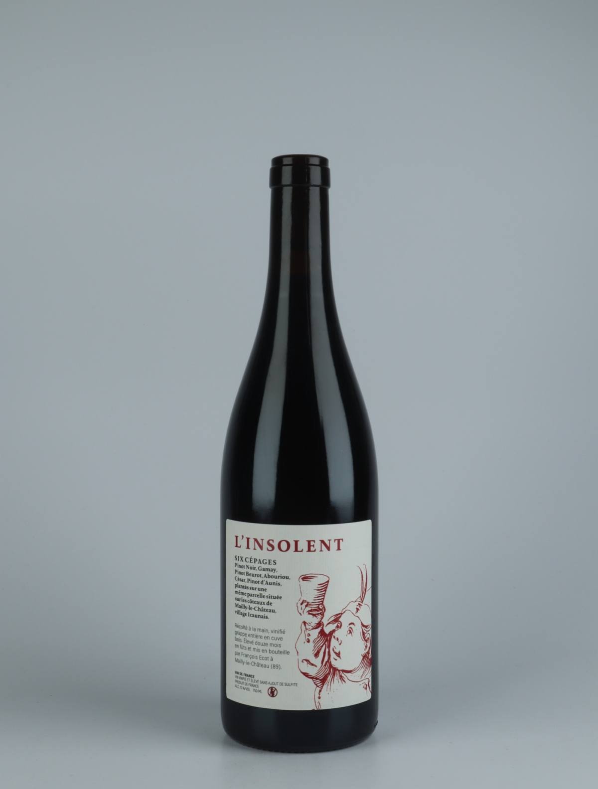 A bottle 2020 L'insolent Red wine from François Ecot, Burgundy in France
