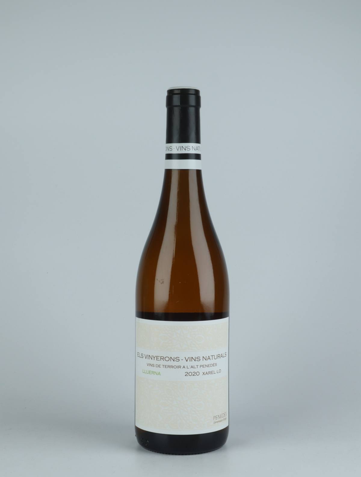 A bottle 2020 Lluerna White wine from Els Vinyerons, Penedès in Spain