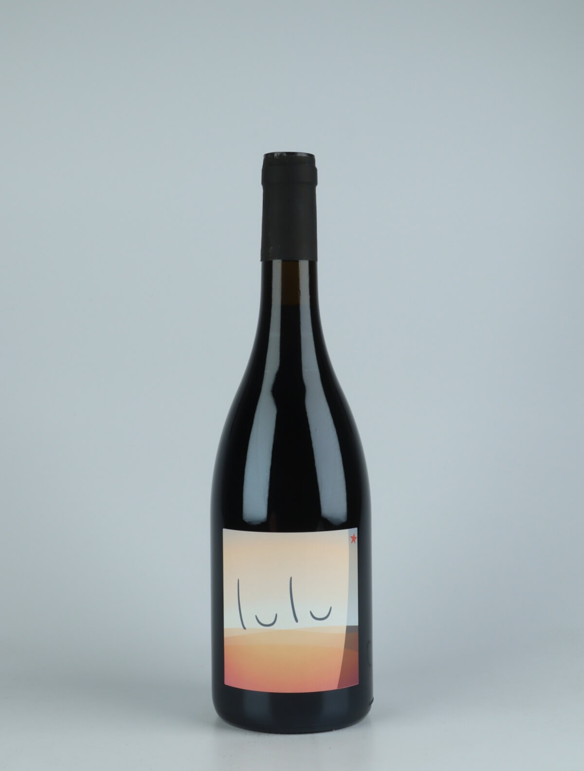 A bottle 2020 Lulu Red wine from Patrick Bouju, Auvergne in France