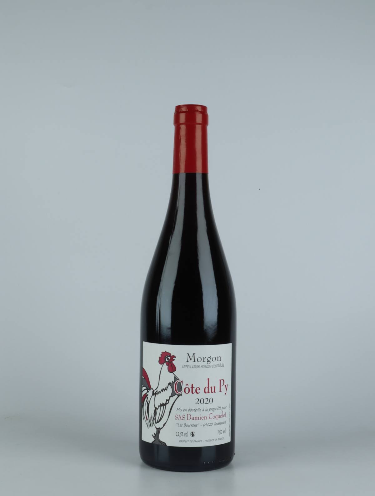 En flaske 2020 Morgon - Côte du Py Rødvin fra Damien Coquelet, Beaujolais i Frankrig