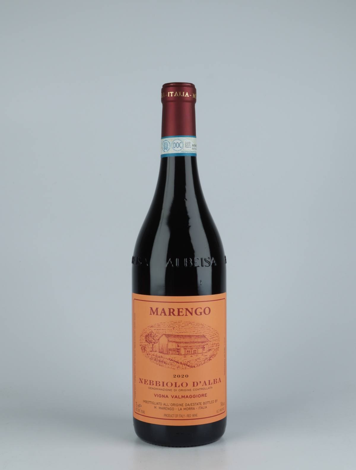 A bottle 2020 Nebbiolo d'Alba - Valmaggiore Red wine from Mario Marengo, Piedmont in Italy