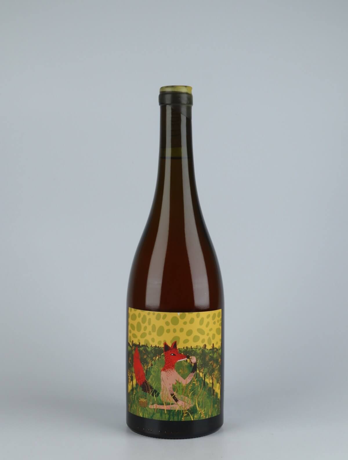 A bottle 2020 Otono Orange wine from Kindeli, Nelson in New Zealand