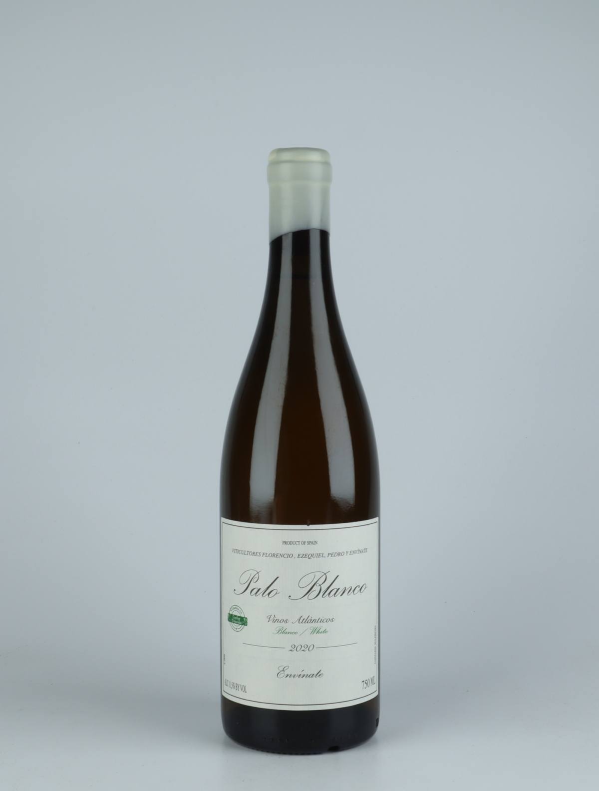 A bottle 2020 Palo Blanco - Tenerife White wine from Envínate,  in Spain