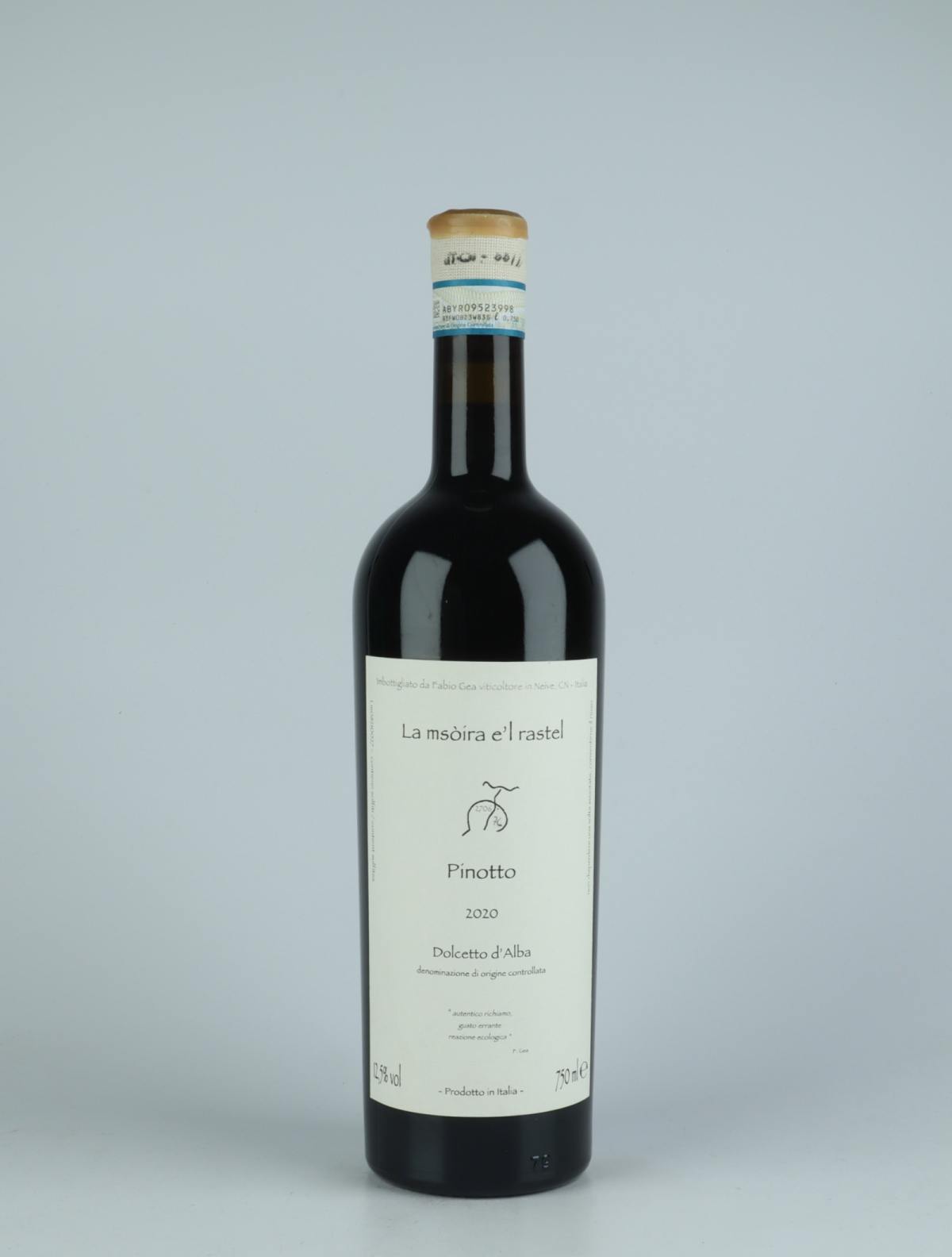 En flaske 2020 Pinotto - Dolcetto d'Alba Rødvin fra Fabio Gea, Piemonte i Italien