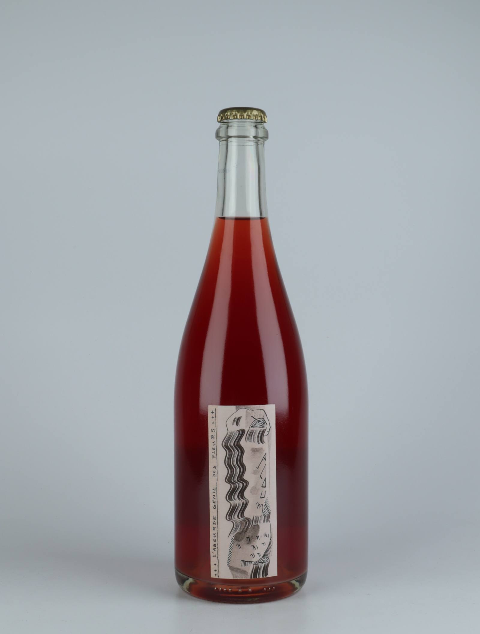 A bottle 2020 Ploum Rosé from Absurde Génie des Fleurs, Languedoc in France
