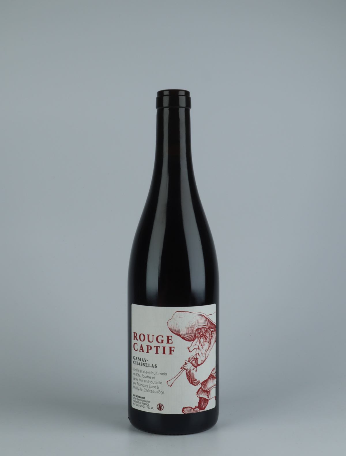 A bottle 2020 Rouge Captif Red wine from François Ecot, Burgundy in France