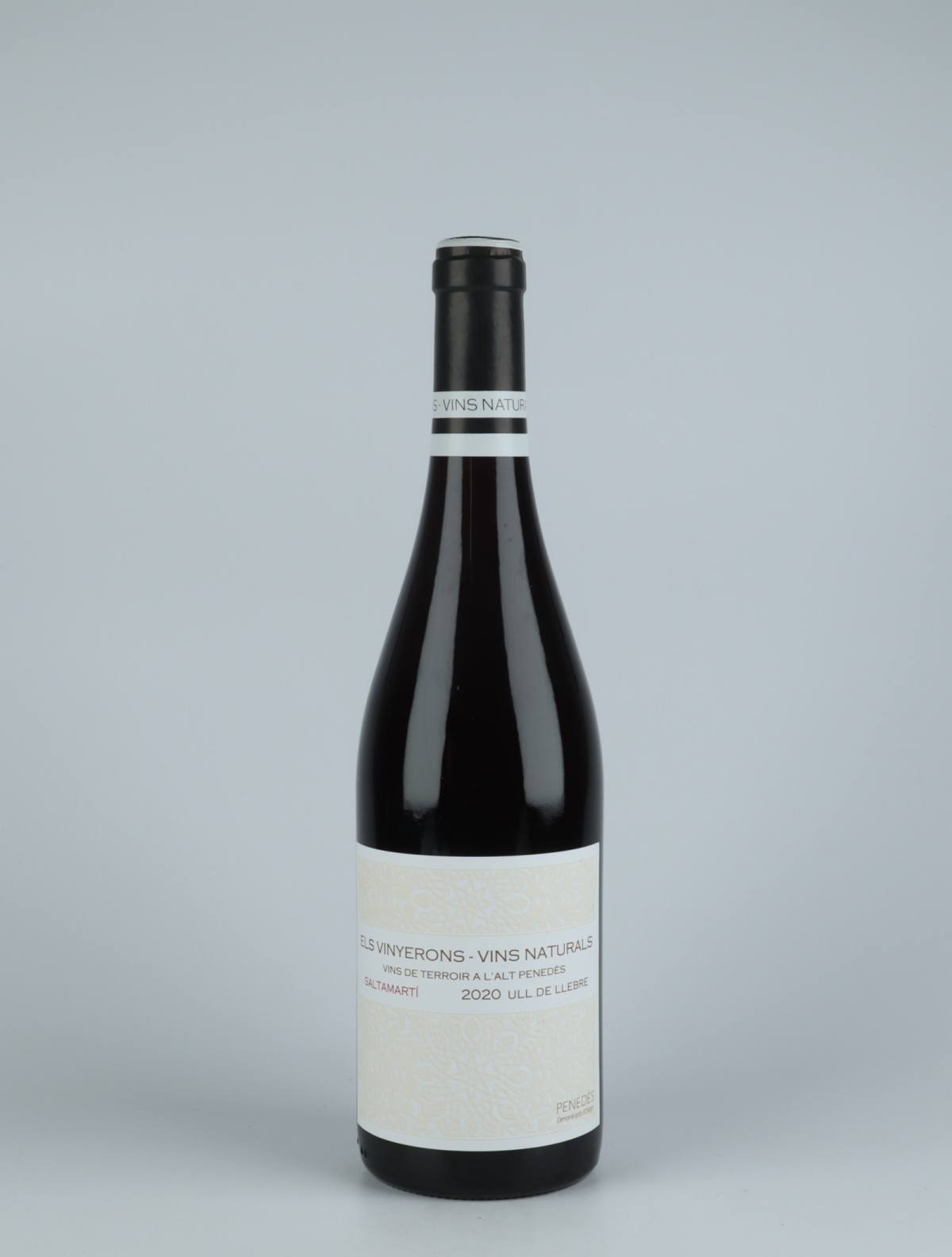 A bottle 2020 Saltamarti Red wine from Els Vinyerons, Penedès in Spain