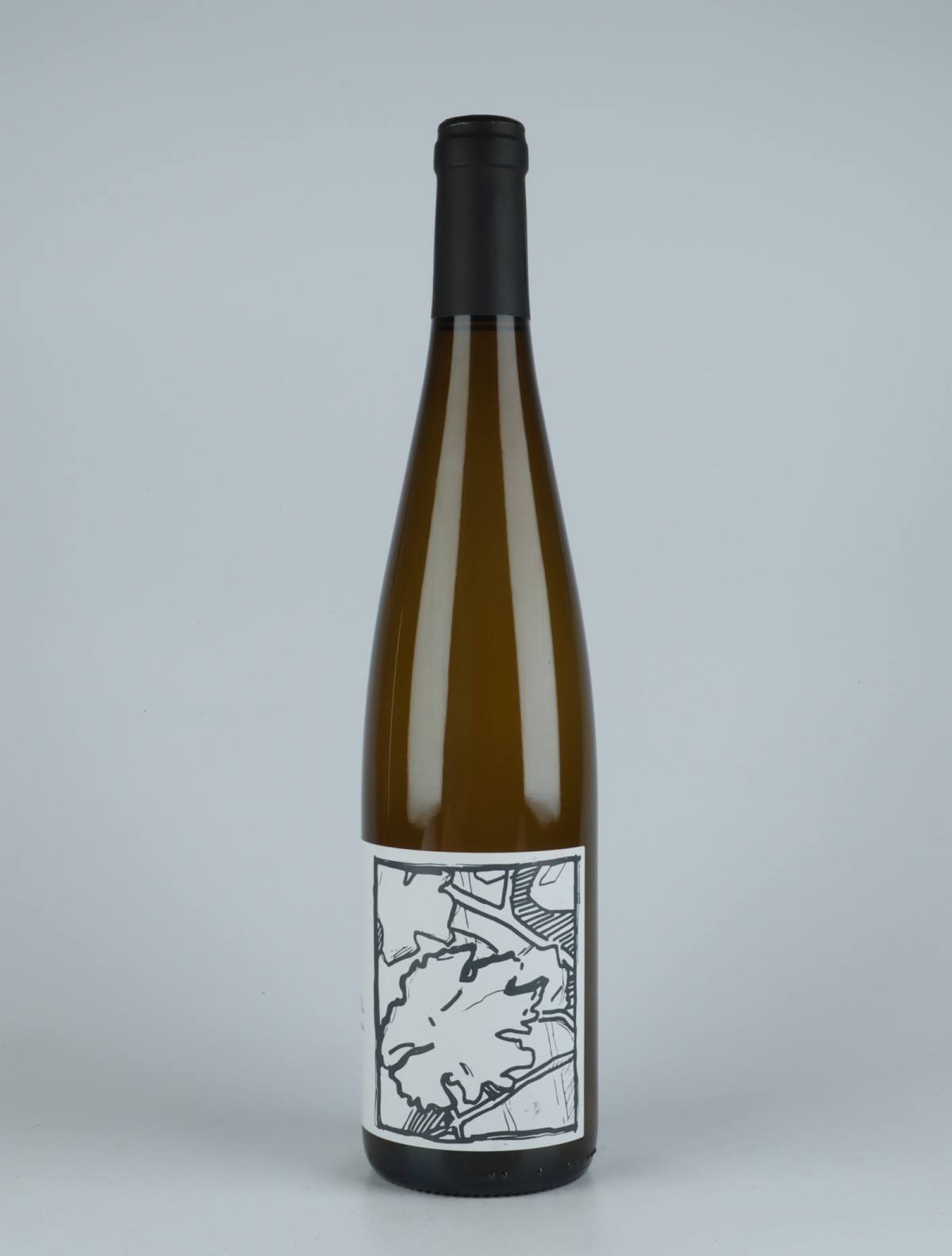 A bottle 2020 Sylvaner White wine from Domaine Goepp, Alsace in France