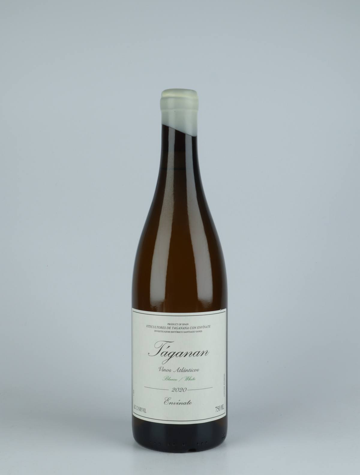 A bottle 2020 Taganan Blanco - Tenerife White wine from Envínate,  in Spain